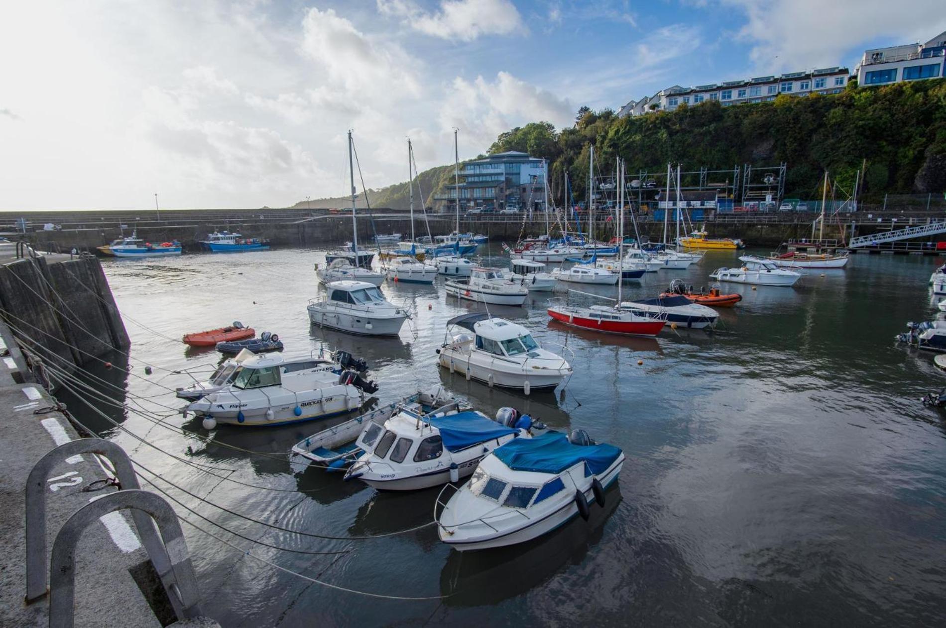 Ocean Cabins No 3 At The Square - Saundersfoot Habitación foto
