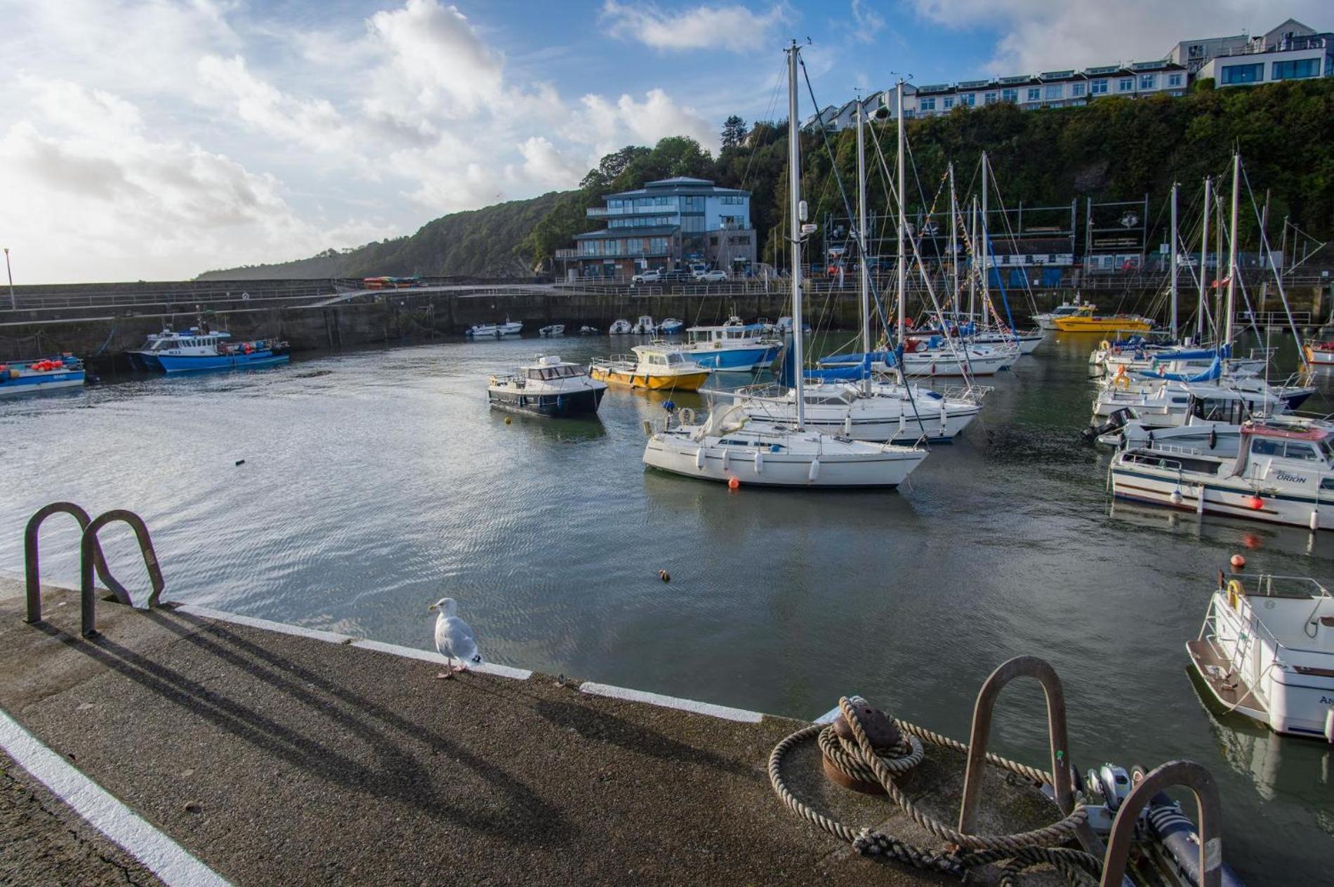 Ocean Cabins No 3 At The Square - Saundersfoot Habitación foto